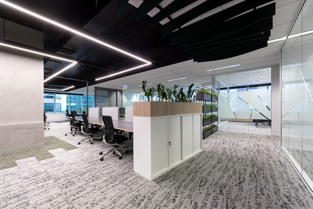 Large collaboration area in the DBM Vircon fitout